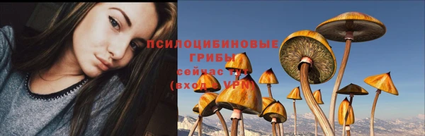 таблы Алексеевка
