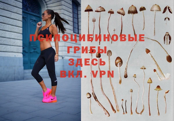 мяу мяу мука Алексин